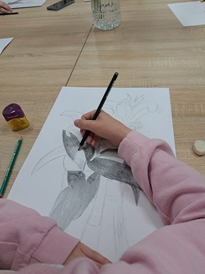 Zajęcia plastyczne - rysunek z natury